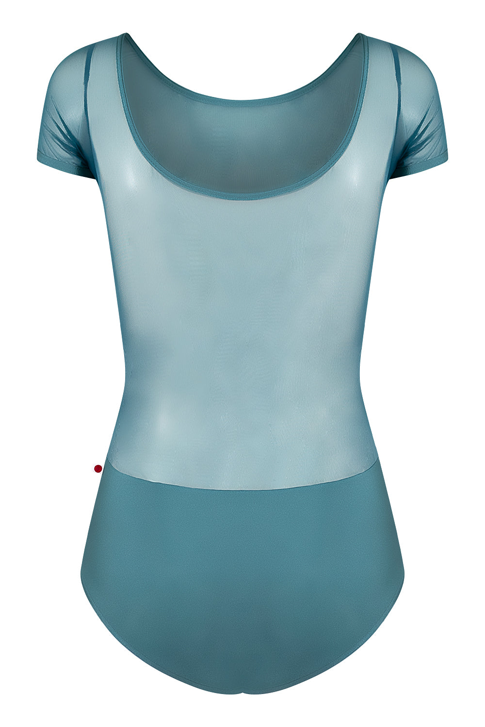 Meagan leotard in N-Frost body color with Mesh Lagoon top & short sleeve color and N-Frost trim color