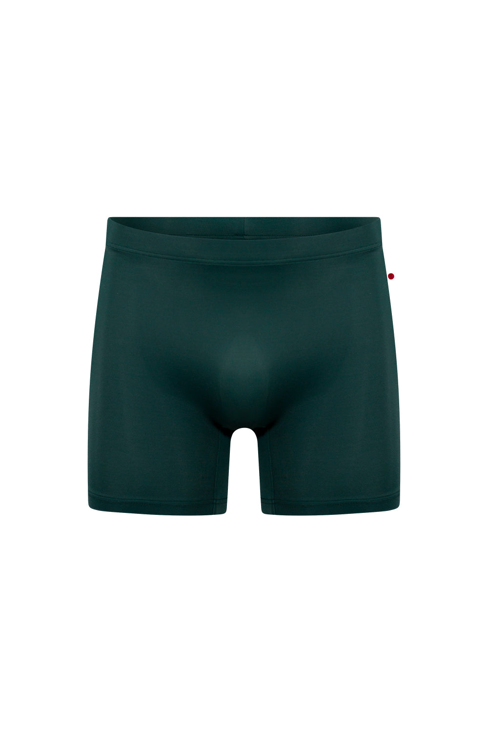 Steven shorts in T-Kale