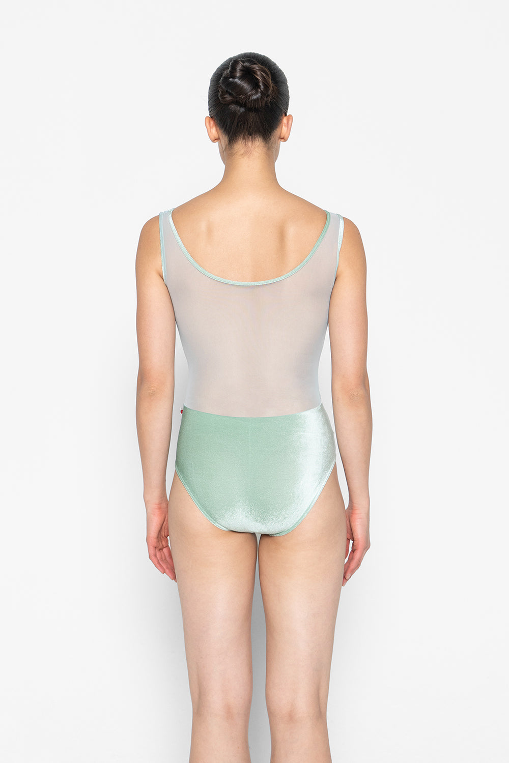 Meagan leotard in V-Meadow body & trim color with Mesh Whisper top color