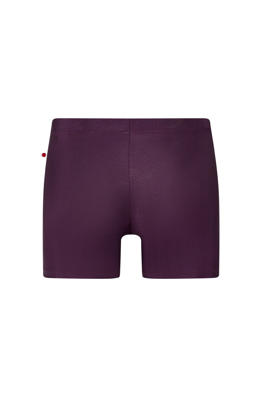 Steven shorts in N-Eggplant