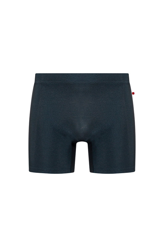 Steven shorts in N-Titanium