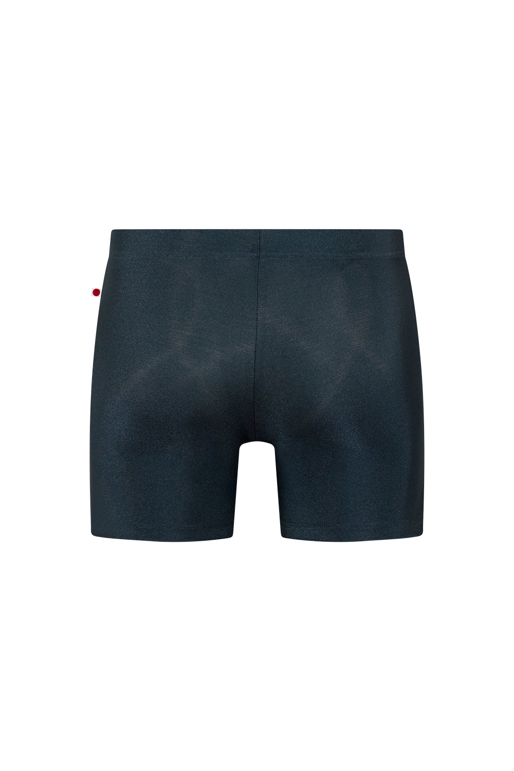 Steven shorts in N-Titanium