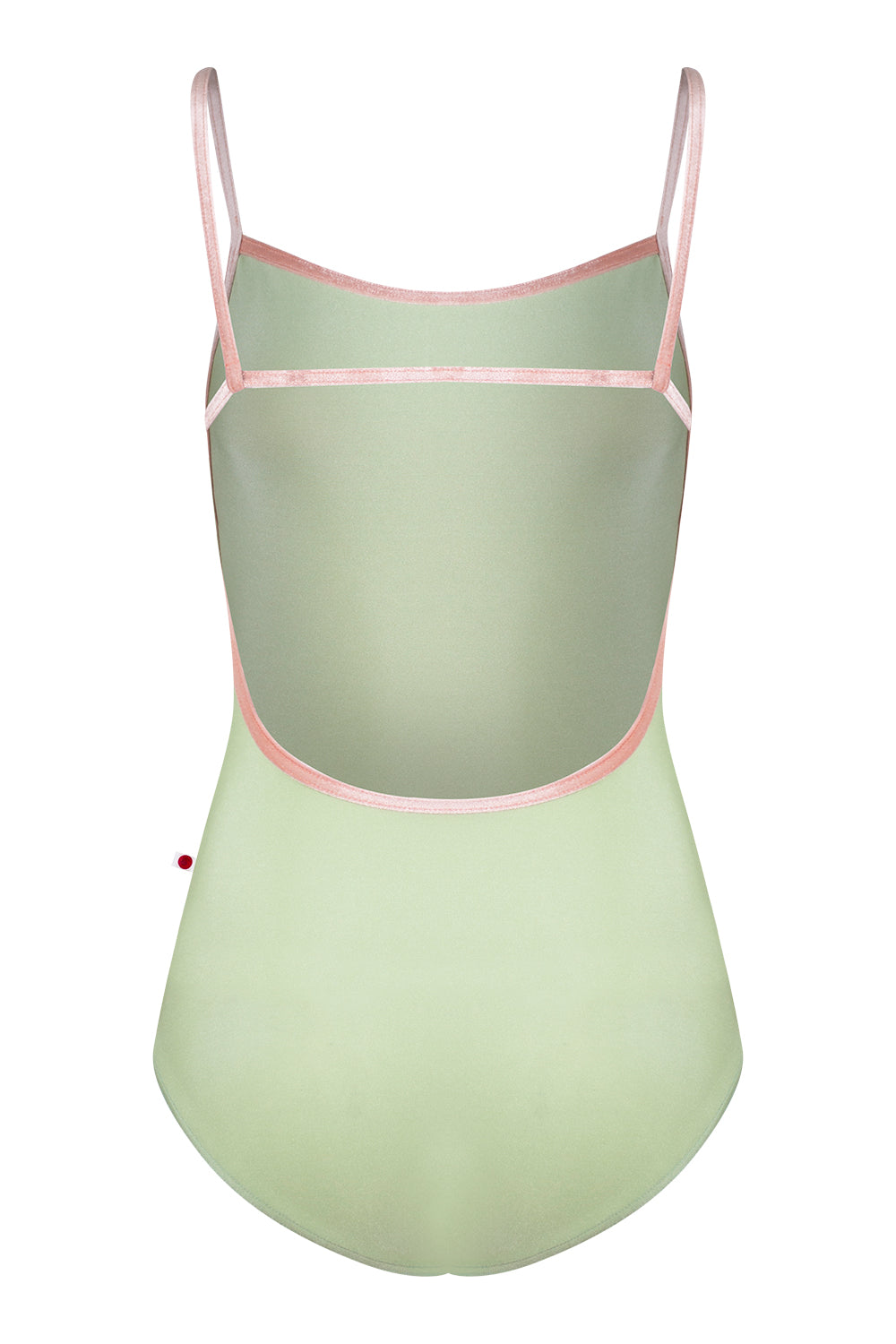 Tamara leotard in N-Ginko body color with V-Blush trim color