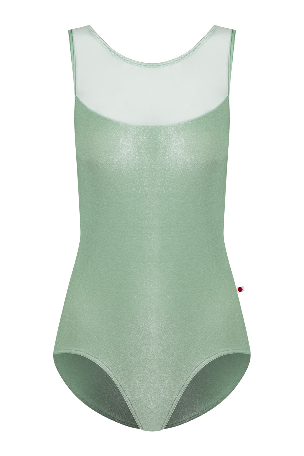 Meagan leotard in V-Meadow body & trim color with Mesh Whisper top color