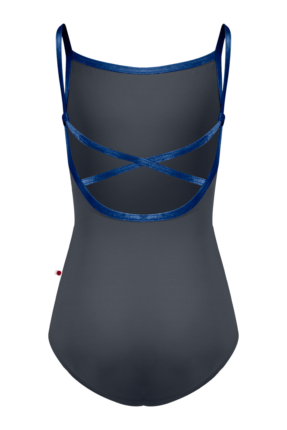 Kids Daniela leotard in T-Titanium body color with V-Pisces trim color