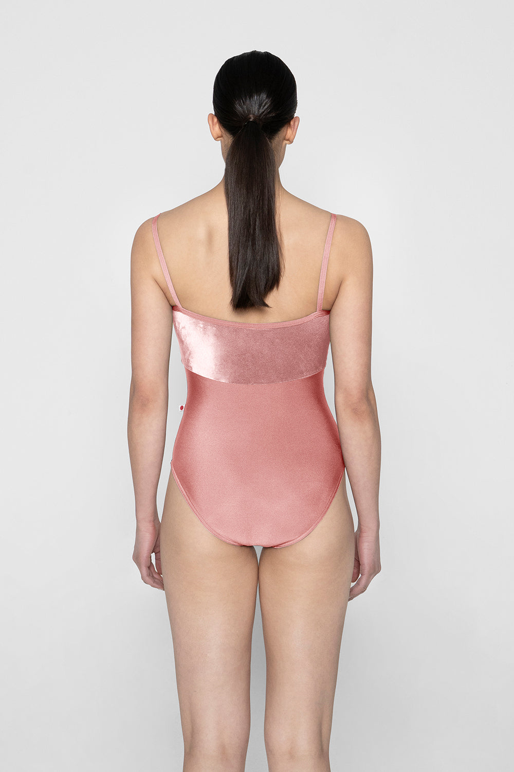 Denise leotard in N-Antique Rose body & trim color and V-Dreamy top color