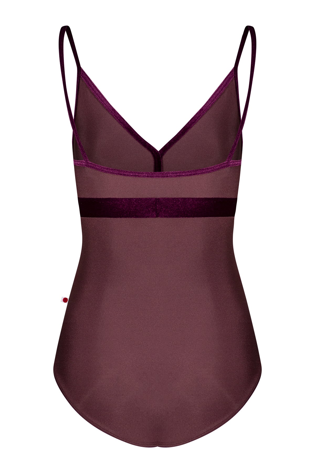 Zoe leotard in N-Phoenix body & top color with V-Roxy trim & middle band color